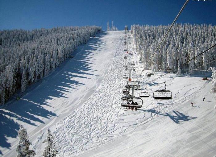 Appartamento Zlatibor Hills Royal Esterno foto