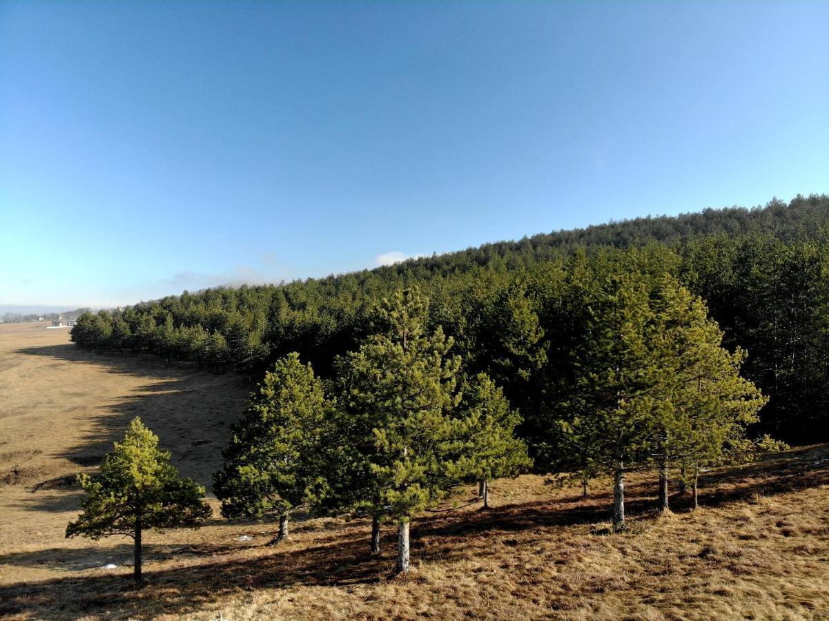 Appartamento Zlatibor Hills Royal Esterno foto