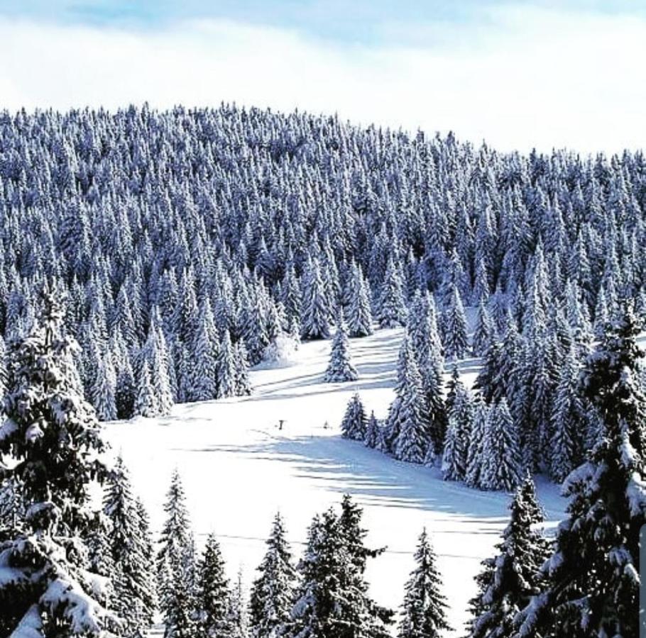 Appartamento Zlatibor Hills Royal Esterno foto