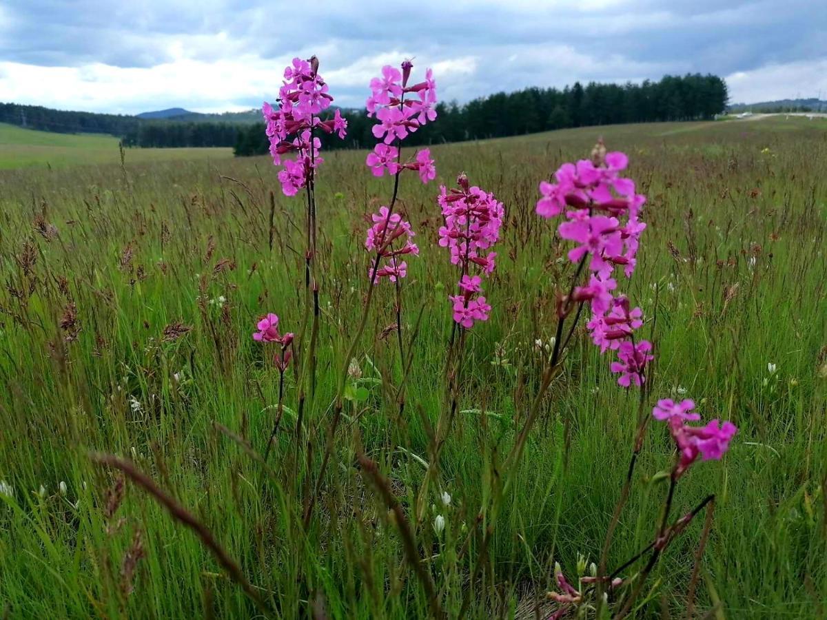 Appartamento Zlatibor Hills Royal Esterno foto